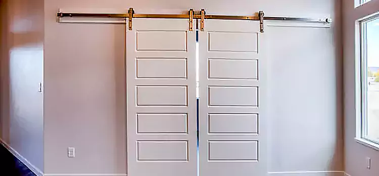 Glass Barn Door with Installation Hardware Kit Minneapolis